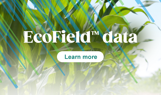 EcoField_540x540_short